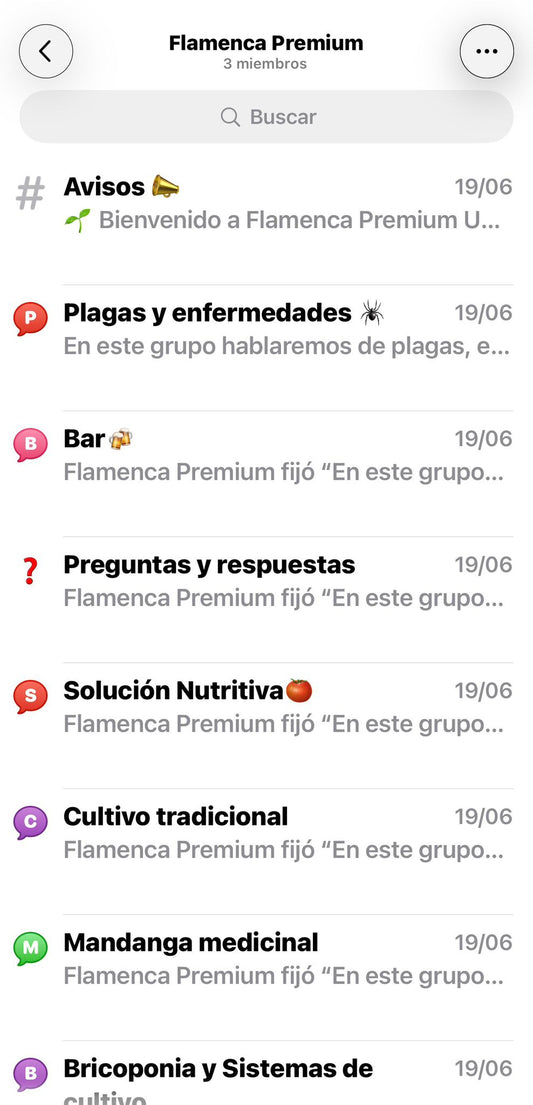Comunidad Flamenca Premium